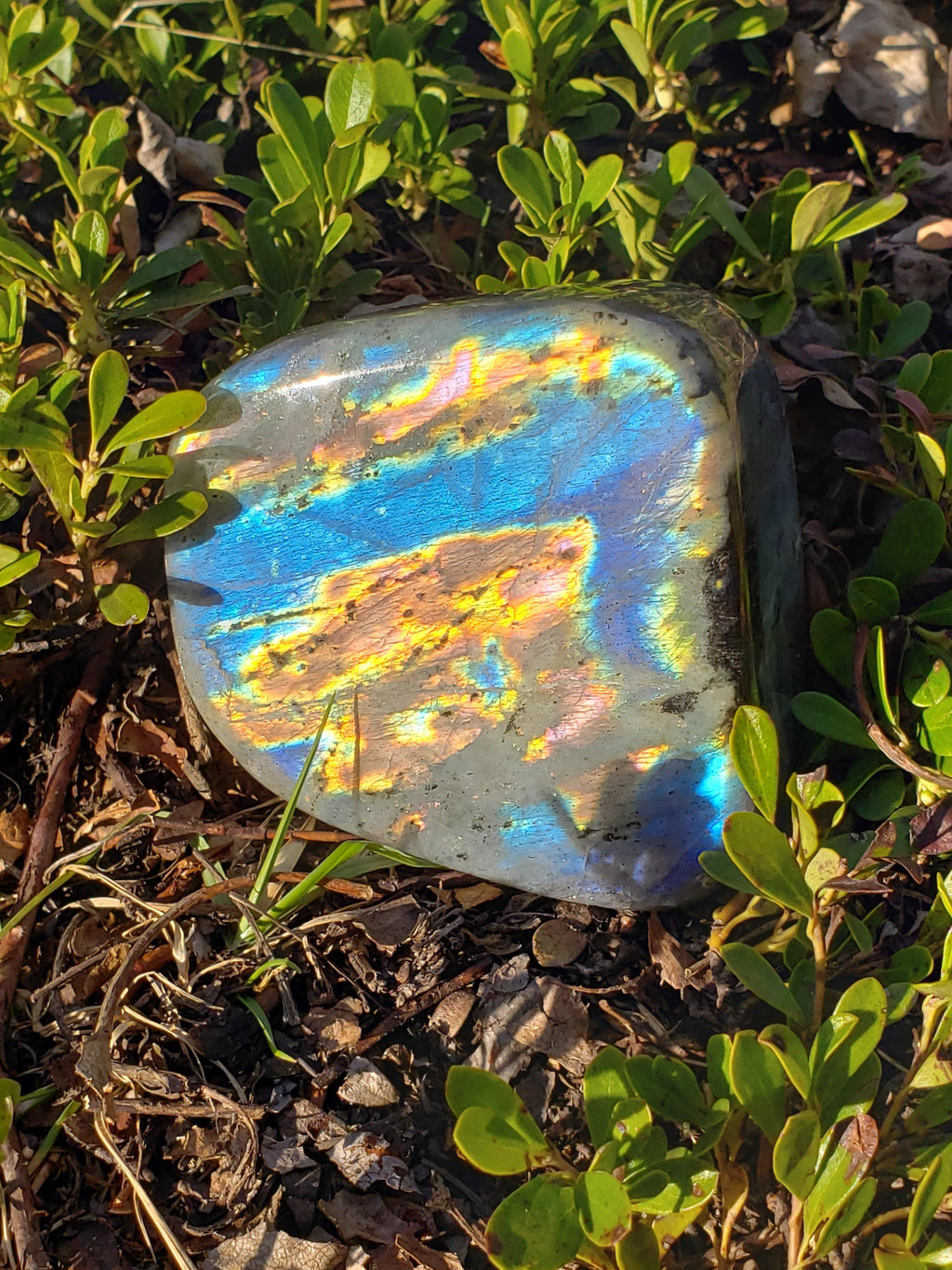 Labradorite Free Form - CRYSTAL LIGHT ELEMENTS 