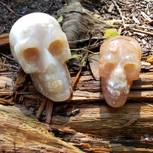 Flower Agate Skulls