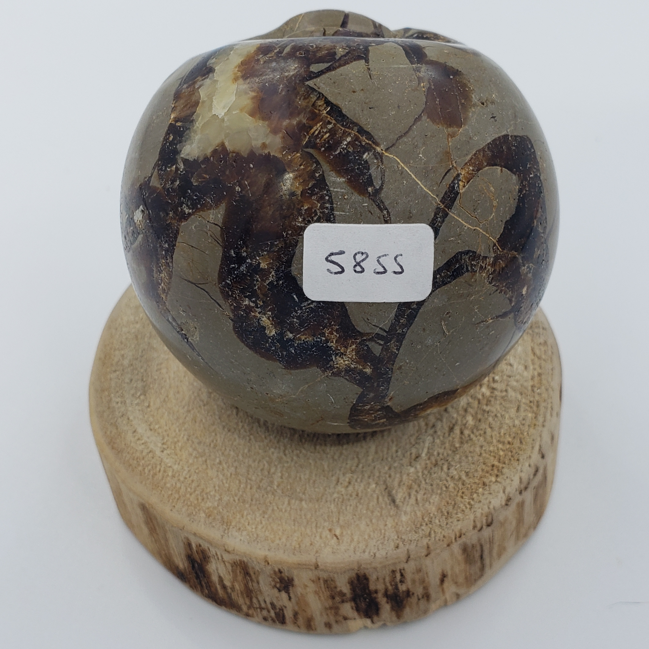 SEPTARIAN SMILE SPHERE - CRYSTAL LIGHT ELEMENTS 