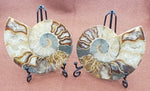 Load image into Gallery viewer, 5&quot; Ammonite Fossil Pair - CRYSTAL LIGHT ELEMENTS 
