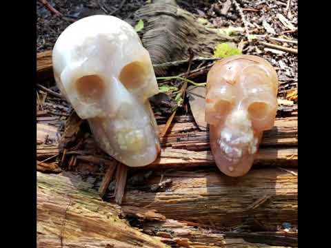 Flower Agate Skulls